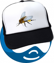 Behat Drupal Icon